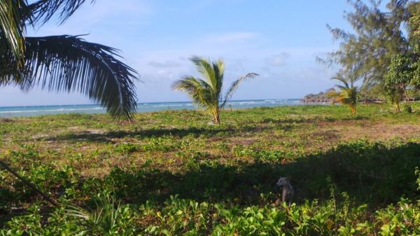20120623_063640.JPG