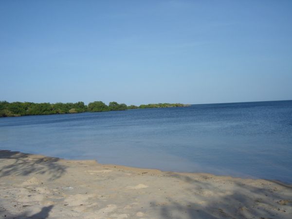 DSC00511.JPG